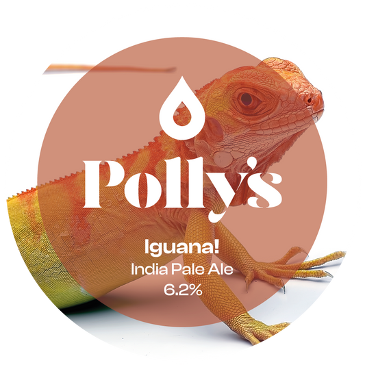 IGUANA! 6.2%