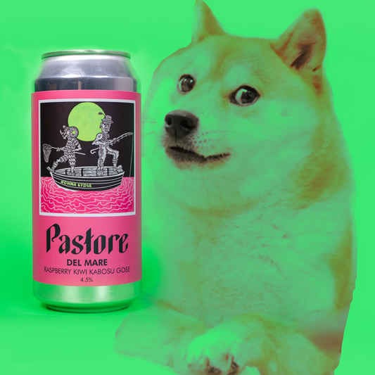 DEL MARE - RASPBERRY, KIWI, KABOSU GOSE 4.5%