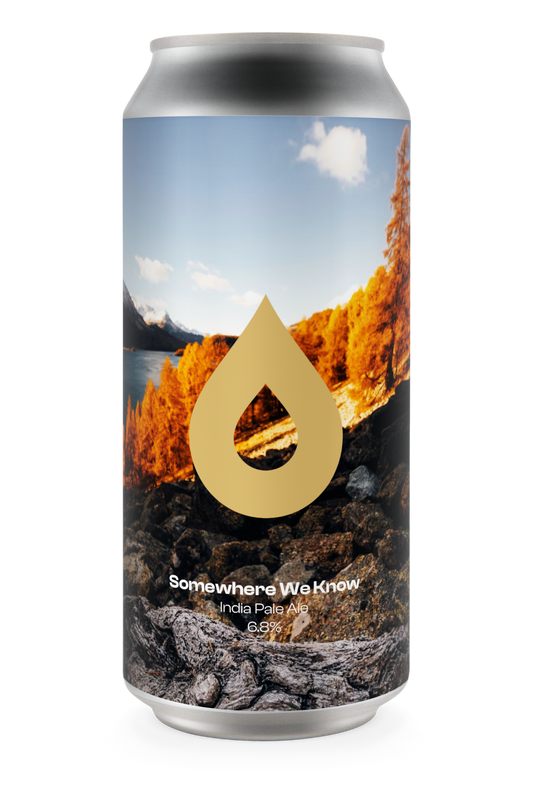 LAST IN HEAVEN - IPA 6.3%