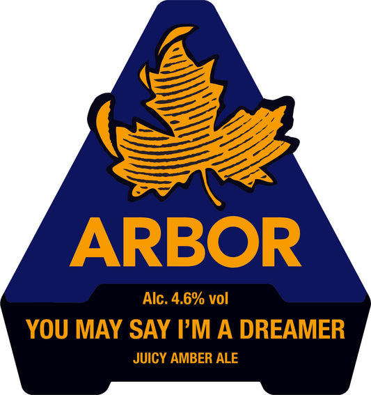 YOU SAY I'M A DREAMER 4.6%