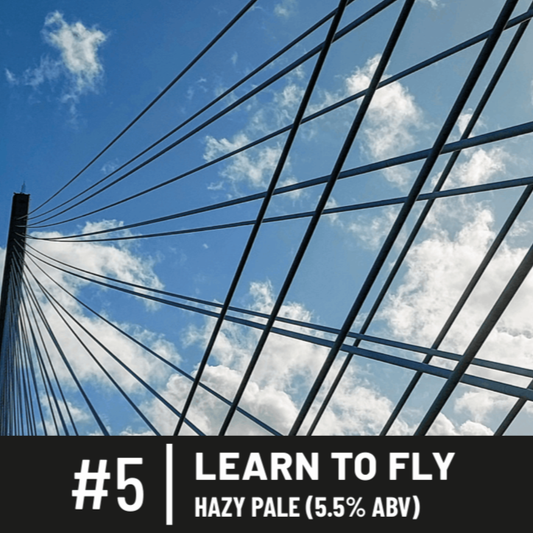 LEARN TO FLY 5.5%